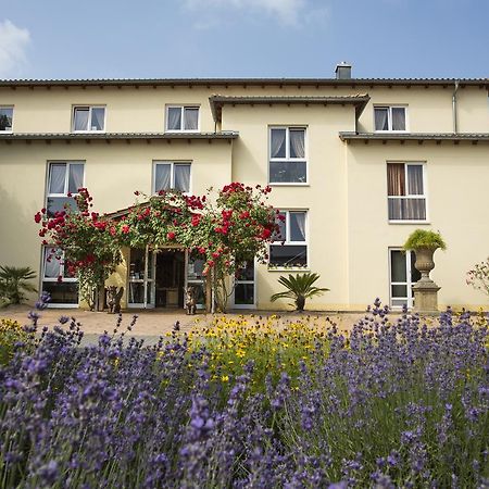 Mediterran Hotel Juwel Karlstein am Main Buitenkant foto